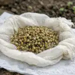 Hemmeligheden bag det endeløse bed, eller hvordan du får den første persillehøst to uger før dine naboer hemmeligheden-bag-det-endeloese-bed-eller-hvordan-du-faar-den.png