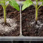 Sammenligning af kontrolmetoders effektivitet sammenligning-af-kontrolmetoders-effektivitet.png