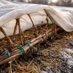 Forårets snigende tøvejr foraarets-snigende-toevejr.png